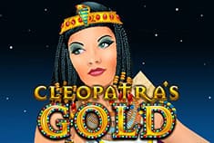 AcedBet game-thumb